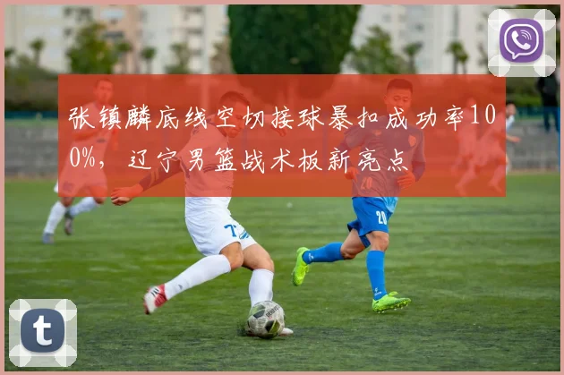 张镇麟底线空切接球暴扣成功率100%，辽宁男篮战术板新亮点